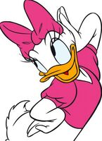 Daisy-duck