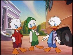 Super Stars Huey, Dewey and Louie at Disney's Stars 'n' Ca…