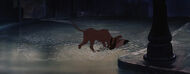 Lady-tramp-disneyscreencaps.com-8271