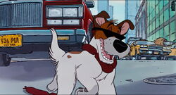 Top 10 Disney Dogs: #3, Dodger from Oliver & Company 