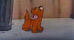 Oliver sniffing Louie's hot dogs