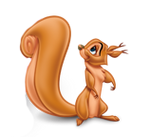 Squirrel