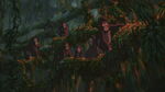 Terk and the other gorillas are shocked after Tarzan fights Kerchak.