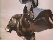 1971-ils-etaient-trois-06.jpg (37 KB)