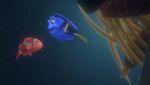 4kfindingnemo-animationscreencaps.com-2253