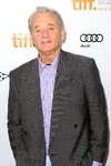 Bill Murray attending the 2012 Toronto International Film Fest.