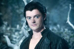 Sam Riley as Diaval