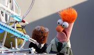 Beaker e Joe.