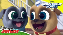 Bingo i Rolly w akcji
