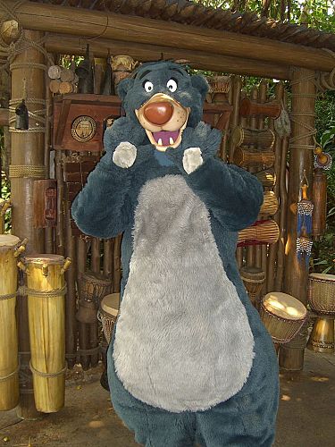 Baloo Costumes Through the Years Disney Wiki Fandom