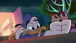 Donald duck with Chip & Dale C'n'D- PL