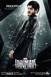 Inhumans Character Poster 01
