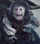 Jack the Monkey Barbossa DMTNT Poster