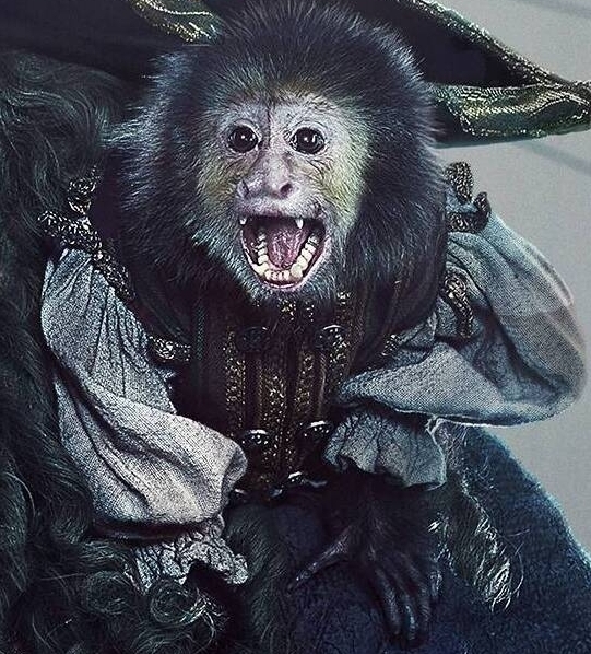 Jack the Monkey | Disney Wiki | Fandom Jack the Monkey | Disney Wiki | Fandom
