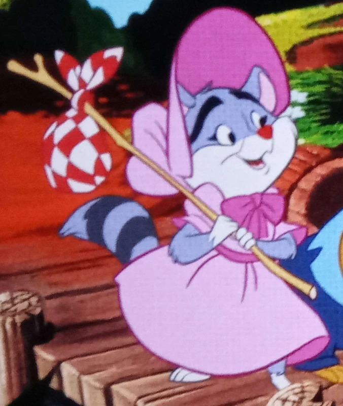 Sis Raccoon