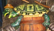 Turtle Drum (Magic Kingdom).jpg (555 KB) The Turtle Drum in the "How Do You Do?" sequence in Splash Mountain at the Magic Kingdom. (1992-2023)
