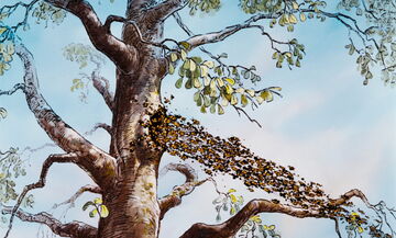 Winnie The Pooh and The Bees Winnie The Pooh and The Bees