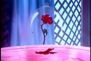 The Enchanted Rose in Beauty and the Beast: Belle's Magical World