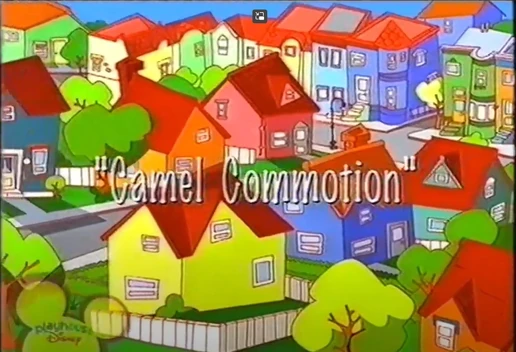Camel Commotion