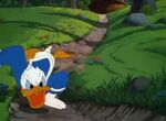 Donald Duck All In A Nutshell (1949)24