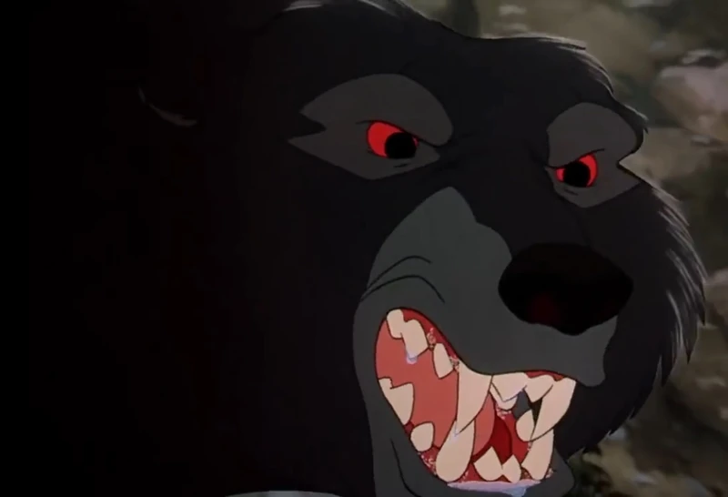 The Bear