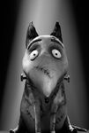 Sparky (Frankenweenie)