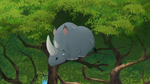 For the First Way of Christmas My good friends gave to me A rhino in a baobab tree