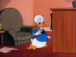 This Is Your Life Donald Duck Walt Disney Presents Episode Disney Wiki Fandom