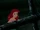Ariel/Galeria/Capturas de Tela