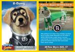 BDawg Card