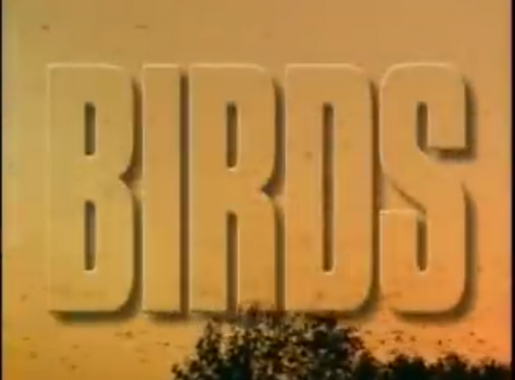 Bill Nye Birds