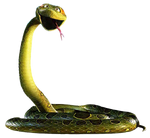 Larry the Anaconda