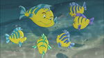 Flounder scolding his children