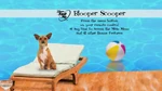 Blooper Scooper screen