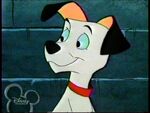 Lucky (101 Dalmatians: The Series; most episodes)