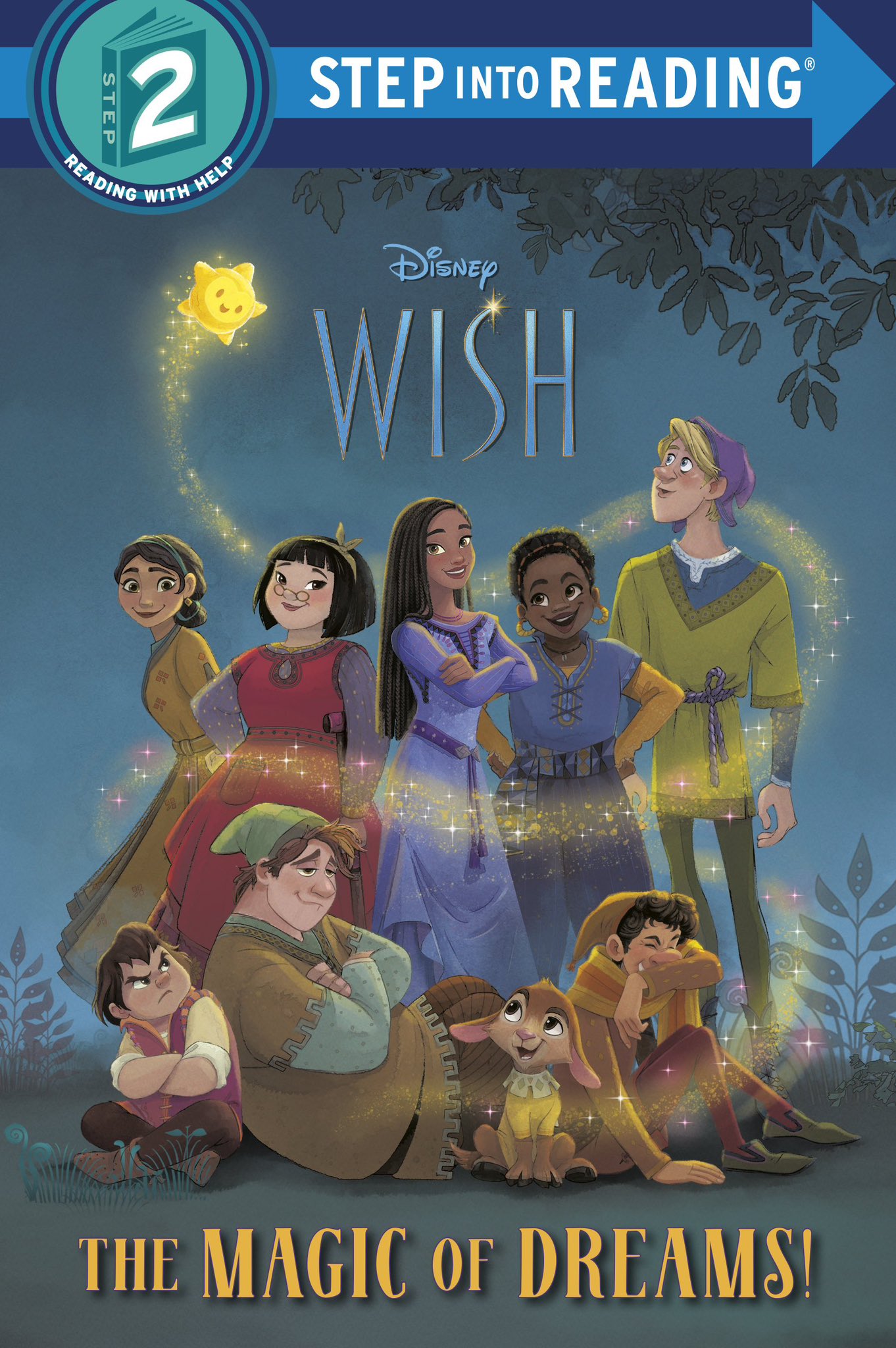 Wish books, Disney Wiki