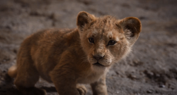 The Lion King 2019 Film Gallery Disney Wiki Fandom It is still a thunderous shakespearean. the lion king 2019 film gallery