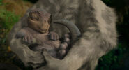 Aladar(baby)