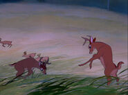 Bambi-disneyscreencaps.com-2982