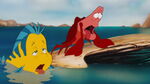 Sebastian and Flounder panting after they swam to take Ariel (in a human form to the beach) and sitting on a rock cliff.