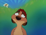 Timon understanding Pumbaa's situation