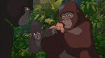 Tarzan-disneyscreencaps.com-1048