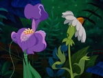 Alice-in-wonderland-disneyscreencaps.com-3369