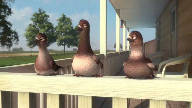 Pigeons