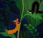 Dog and Caterpillers