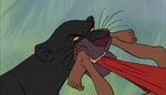Bagheera pulls Mowgli harder