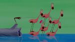 Snooty Pink Flamingos