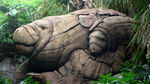 Manatees