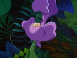 Alice-in-wonderland-disneyscreencaps.com-3042.jpg (242 KB) Snooty Flower (Alice in Wonderland)