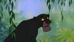 Bagheera The Black Panther 23982922002